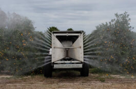 orchard-sprayer-spraying-orange-trees